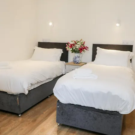 Stag At Broadings Farm