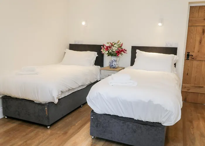 Stag At Broadings Farm