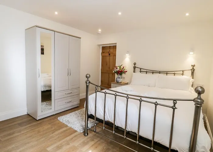 Stag At Broadings Farm *